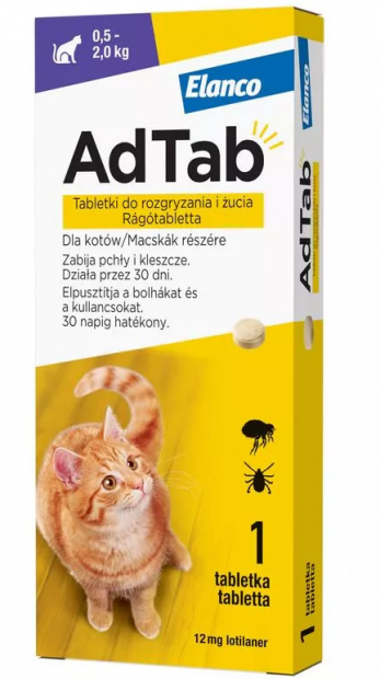 kepernyokep_2025-02-21_111146.png