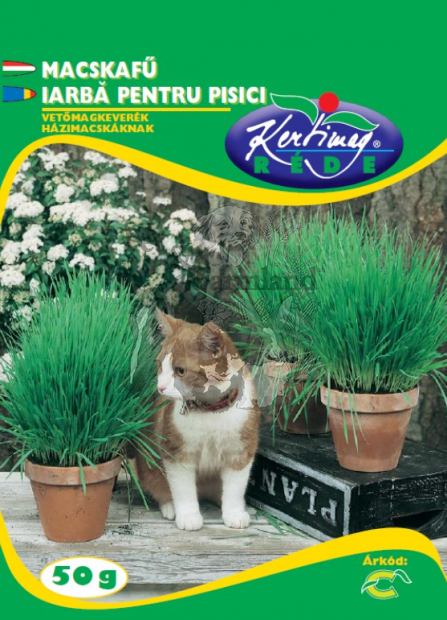 kepernyokep_2025-05-06_113728.png
