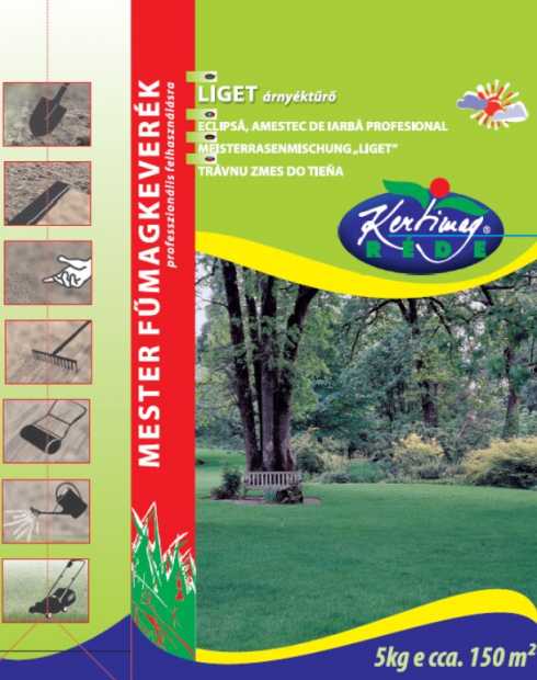 kepernyokep_2025-06-18_092444.png