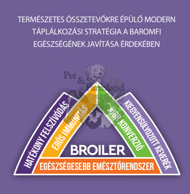 kepernyokep_2025-08-12_110444.png