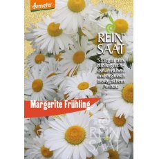 Virág Margaréta/Margerite Frühling