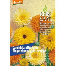 Körömvirág sárga-narancssárga/Ringelblume