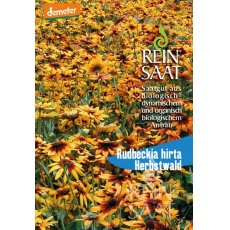 Kúpvirág/Rudbeckia Hirta Herbstwald