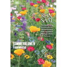 Egynyári virágok/Sommerblumen Feenwiese