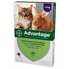 Advantage spot on cat 0.8ml