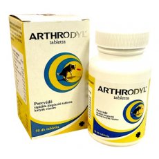 Arthrodyl porcvédő tabletta 60db