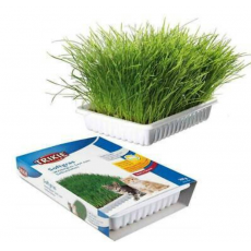 Trixie Soft Cat Grass BIO vitaminozott macskafű