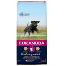Eukanuba Junior Large, nagytestű kölyök száraz kutyatáp 15kg