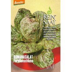 Saláta Római Forellenschluss