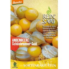 Földicseresznye Andenbeere Schönbrunner Gold