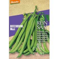 Bab Buschbohne Maxi