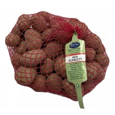Vetőburgonya Red Scarlett 50 szem