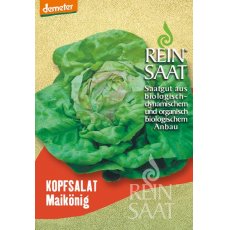Saláta Maikönig