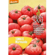 Paradicsom Marmande