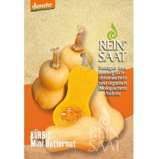 Sütőtök Mini Butternut