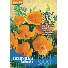 Virág Kaliforniai kakukkmák/Goldmohn