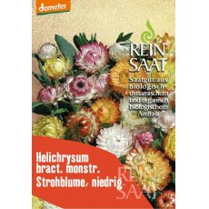 Virág Szalmarózsa/Helichrysum Strohblume