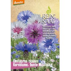 Búzavirág Színkeverék/Kornblume Bunte Mischung