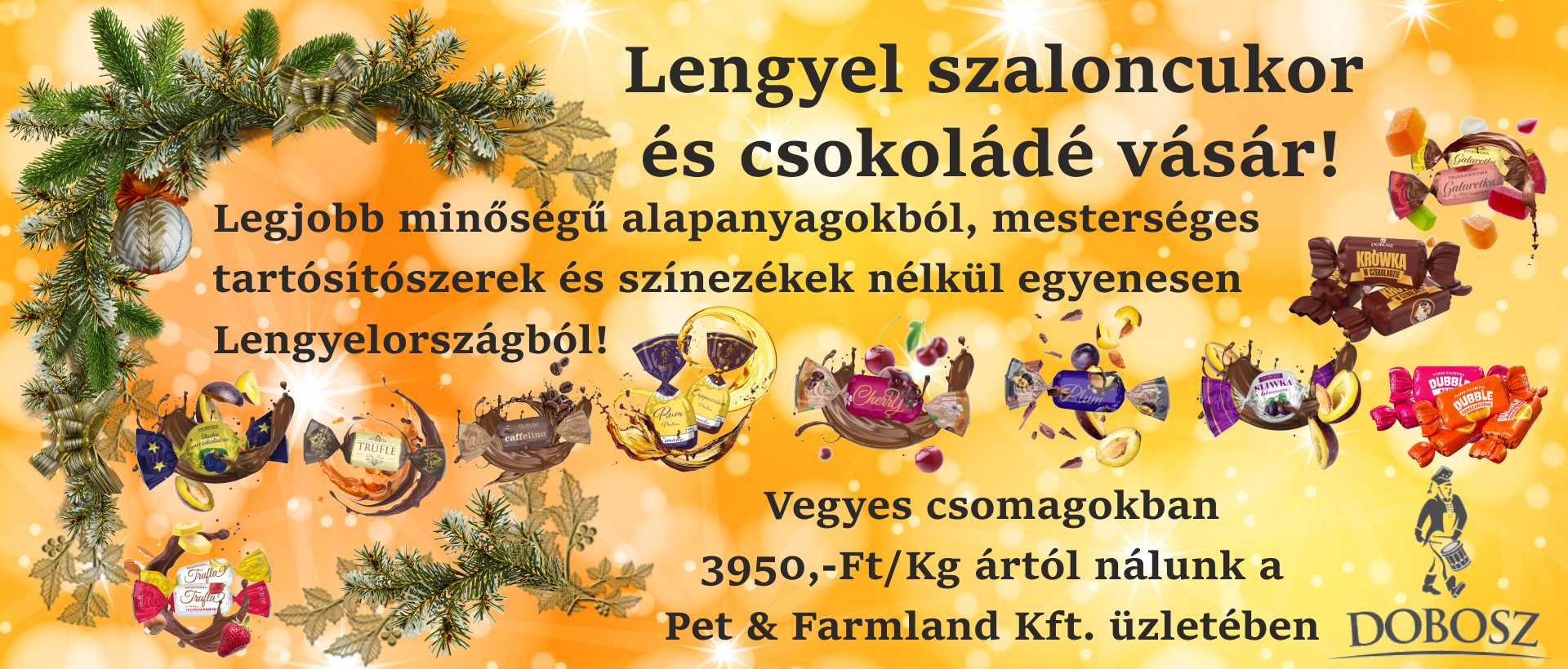 Dobosz_csoki_banner1