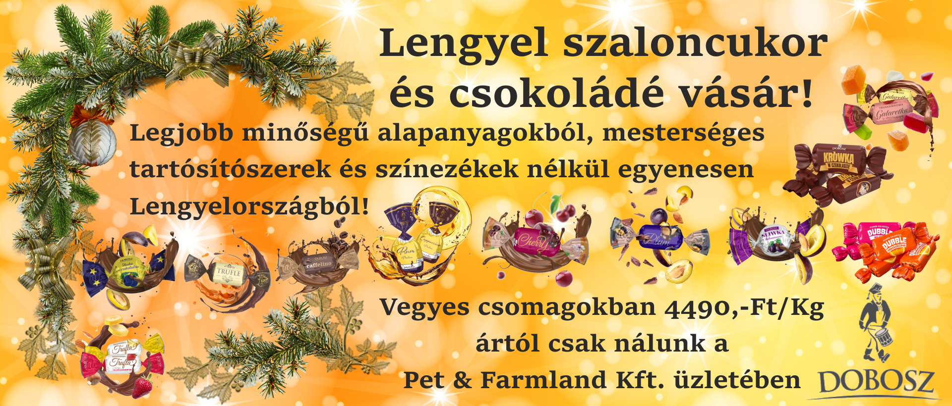 Dobosz_csoki_banner2025