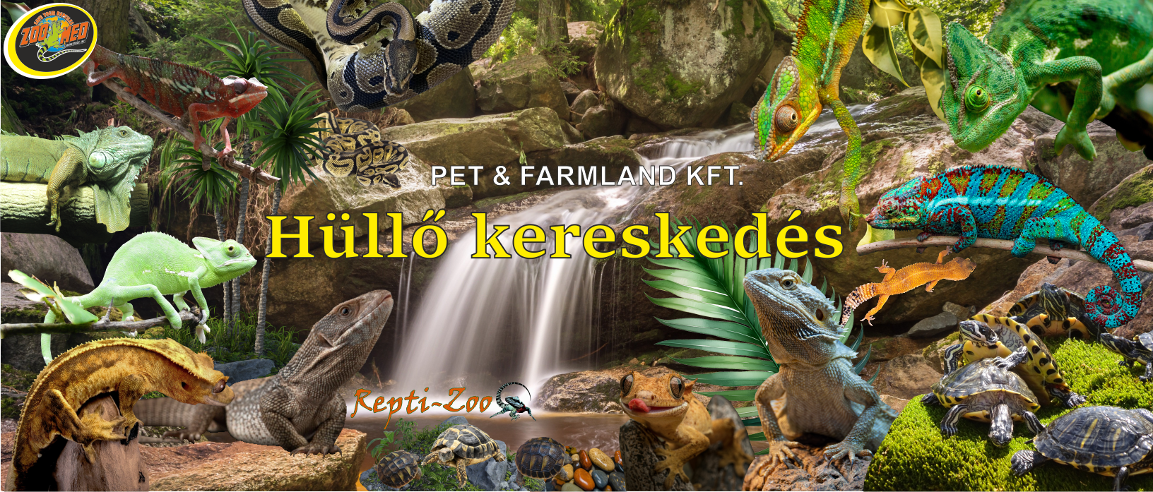 Hüllők_Banner_1920x820